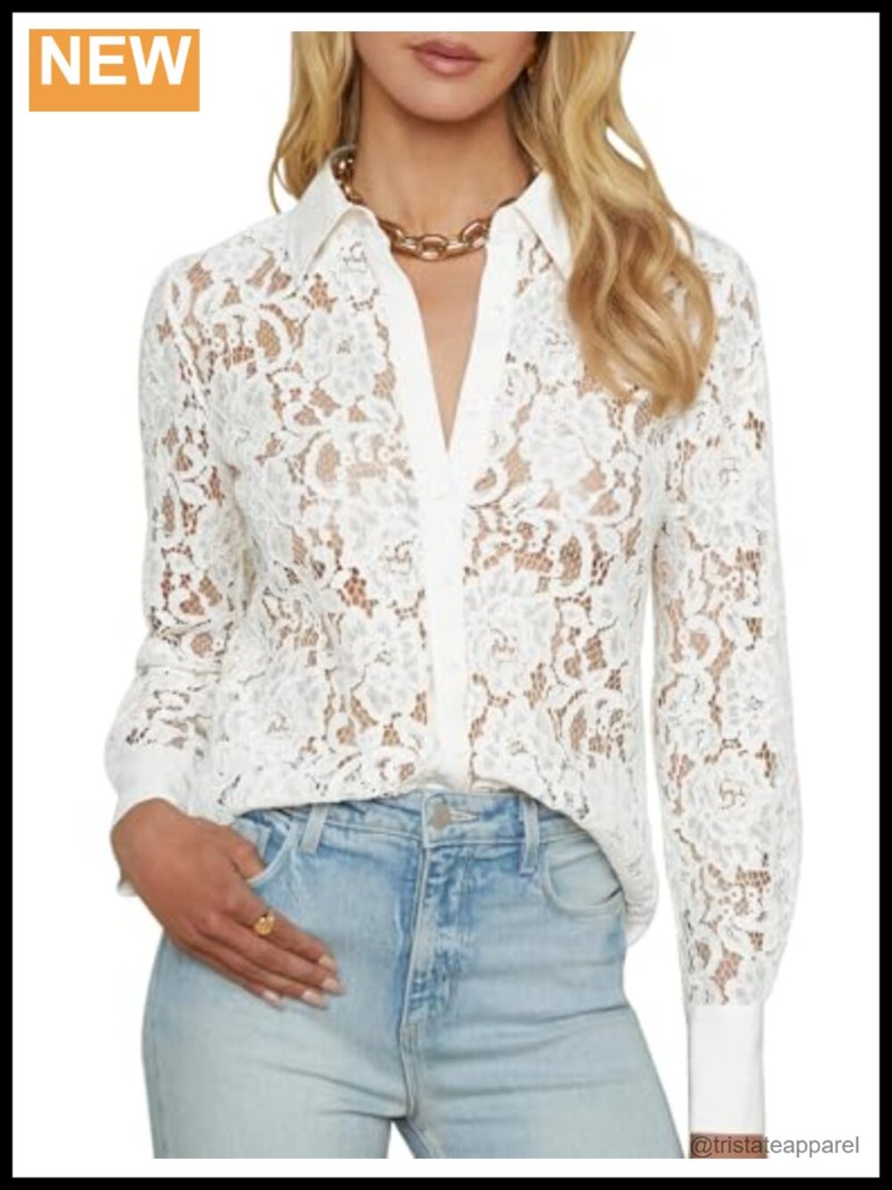 Women's Sheer Lace Long Sleeve Blouse, Button Down Dressy Casual
